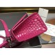 Balenciaga D886700