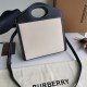 Burberry D886500