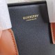 Burberry D886500