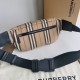 Burberry D886350