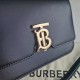 Burberry D886550