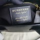 Burberry D886550