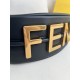 FENDI D886620