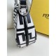 FENDI D886620