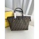 FENDI D886610