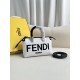 FENDI D886520