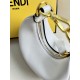 FENDI D886620