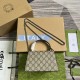 GUCCI 752029