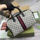 GUCCI 772065