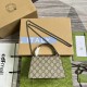 GUCCI 752029