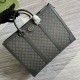 GUCCI  724665