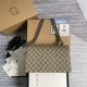 GUCCI 400249