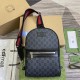 GUCCI 771164