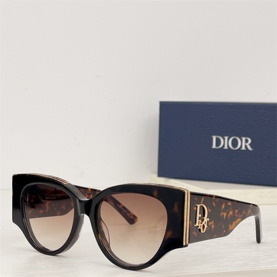 DIOR POWEN