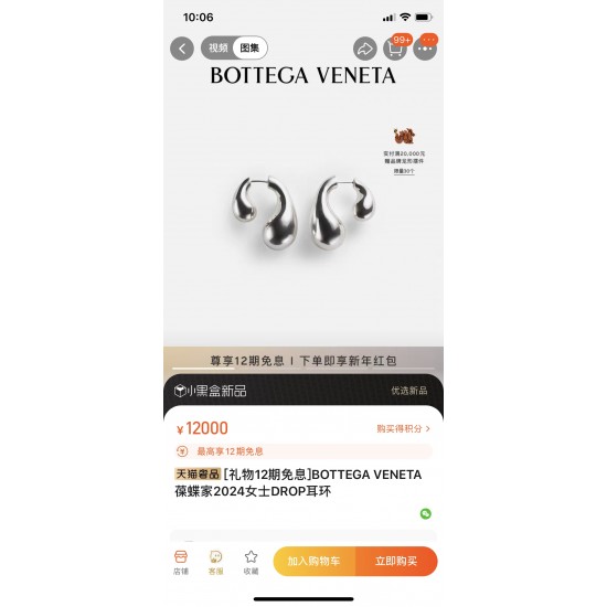 YX80A20❤️BOTTEGA VENENTA 新款BV耳钉 与众不同的设计 个性十足 颠覆你对传统耳环的印象 使其魅力爆灯