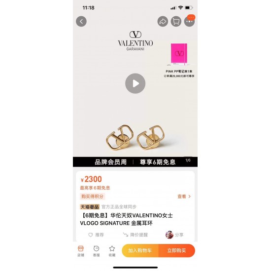 YX80A00❤️❤️Valentino 华伦天奴 耳钉