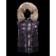 Moncler Tarn Vest 男女款