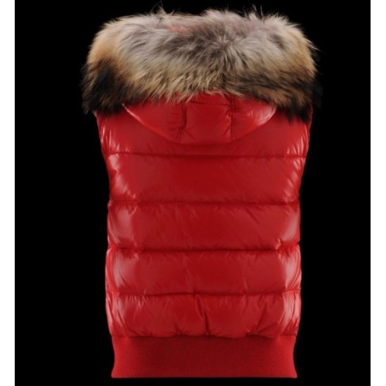 Moncler Tarn Vest 男女款