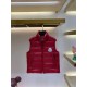 MONCLER VEST SERIES