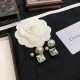 Dior Earring