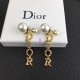 Dior Earring