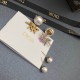 Dior Earring