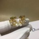 Dior Earring