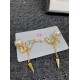 Dior Earring