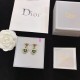 Dior Earring