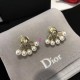 Dior Earring