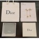 Dior Earring