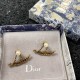 Dior Earring