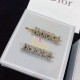 Dior Hair clip