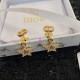 Dior Earring