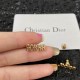 Dior Earring