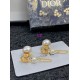 Dior Earring