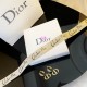 Dior Earring