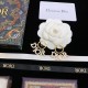 Dior Earring