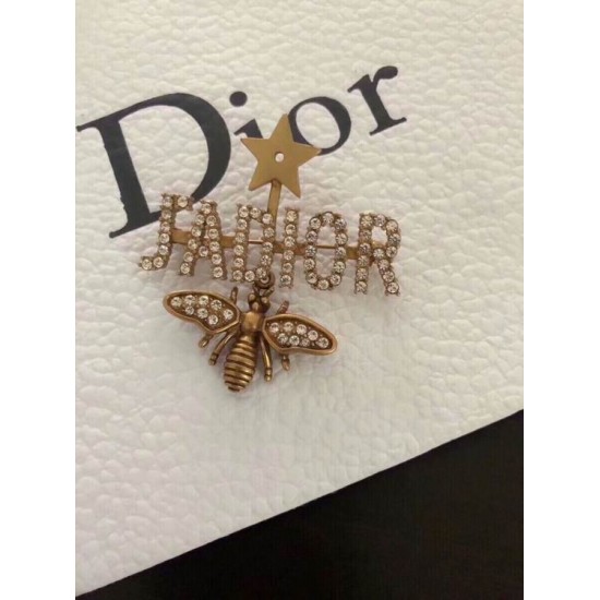 Dior Brooch