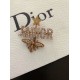 Dior Brooch