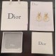 Dior Earring