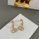 Dior Earring