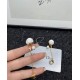 Dior Earring