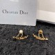 Dior Earring