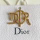 Dior Brooch