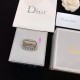 Dior Brooch