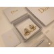 Dior Earring