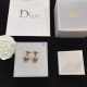 Dior Earring