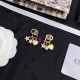 Dior Earring