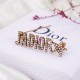 Dior Brooch